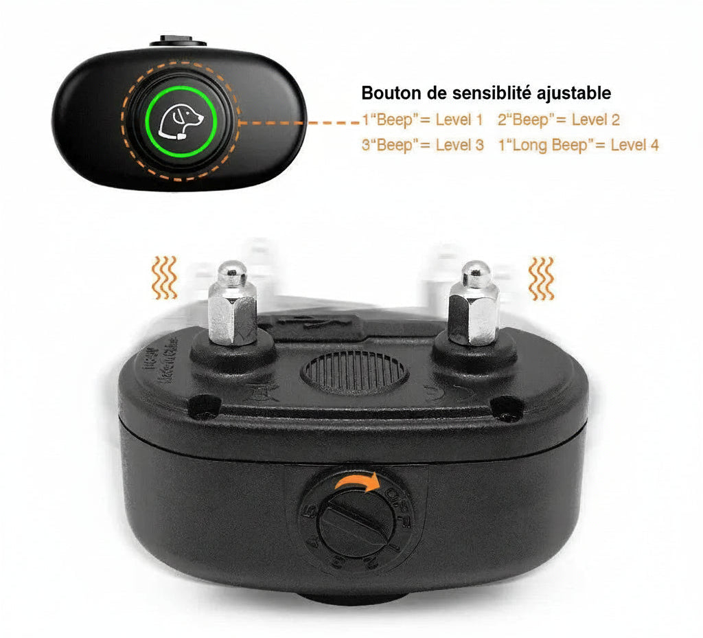 Collier anti aboiement petit chien | SilencePro 6