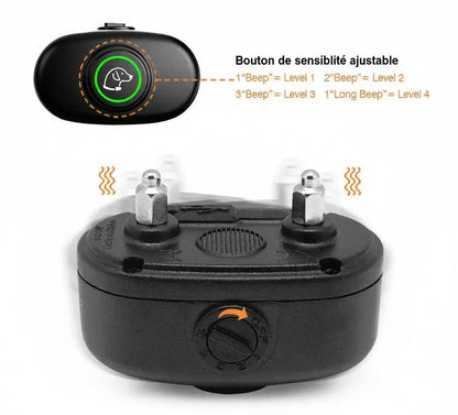 Collier anti aboiement petit chien | SilencePro 6