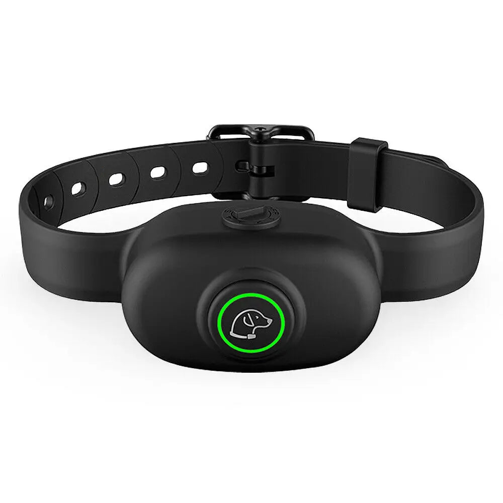 Collier anti aboiement petit chien | SilencePro 9