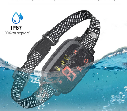 Collier chien anti aboiement | Intelligence Douce 5