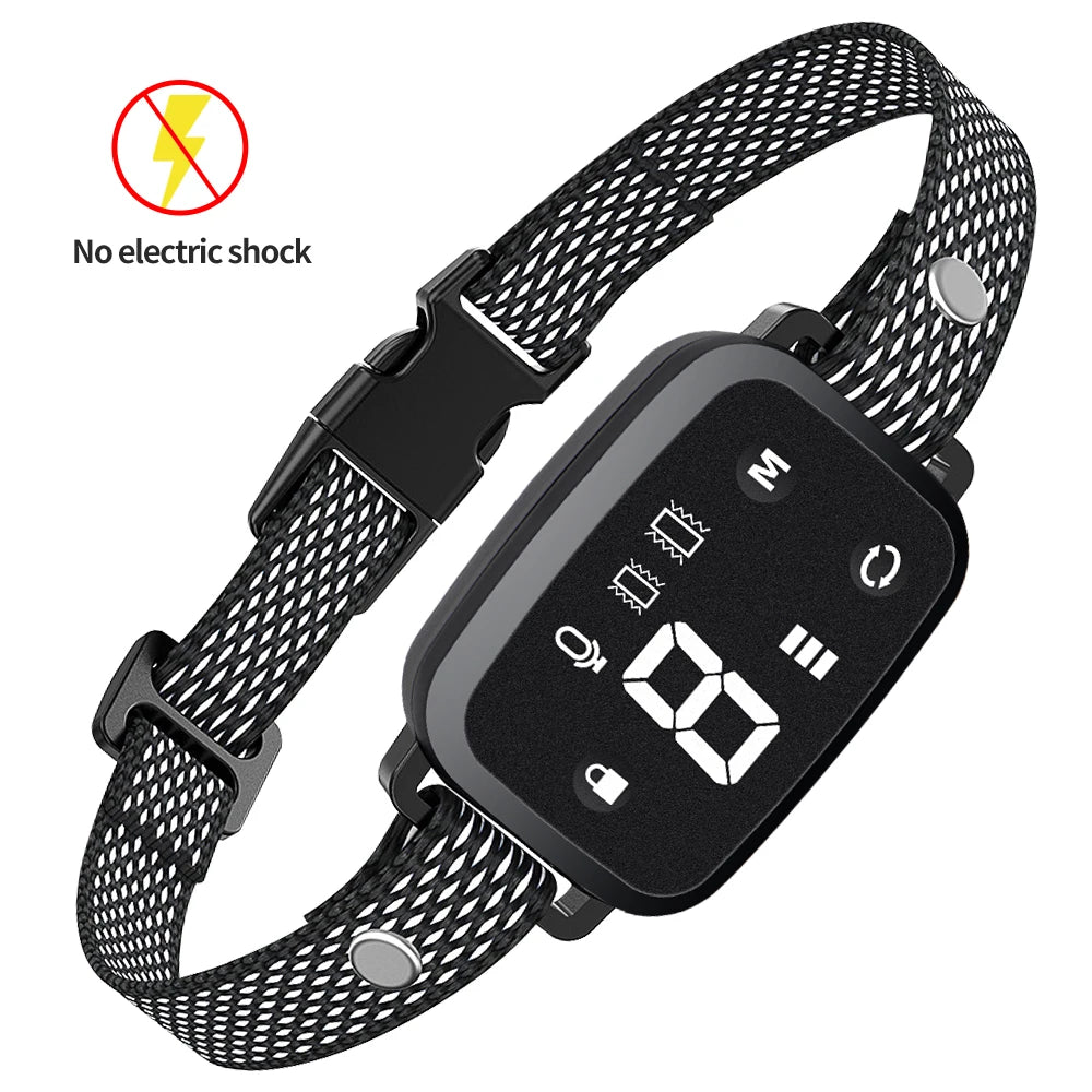 Collier chien anti aboiement | Intelligence Douce 7