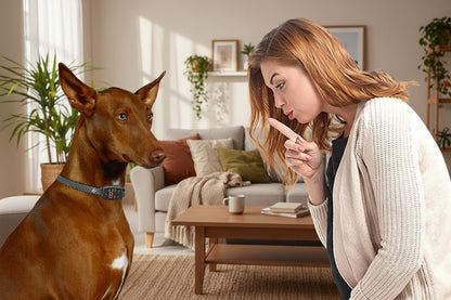 Collier chien anti aboiement | Intelligence Douce 8