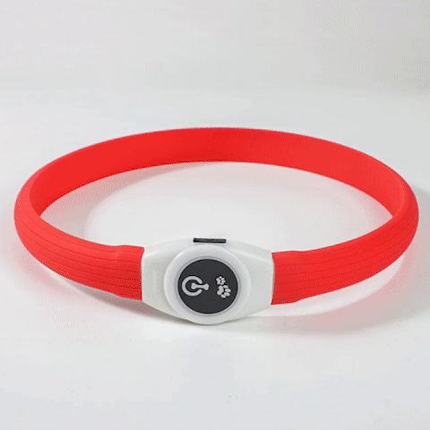 Collier lumineux chien | SafetyNight