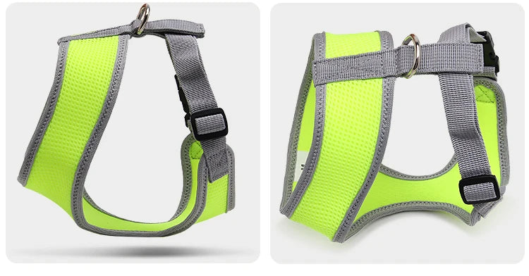 Harnais chien- Truelove Nylon Sandwich