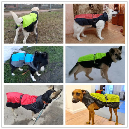 Imperméable pour chien | Protection Ultra