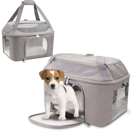 Caisse de transport chien- Outgoing bag.