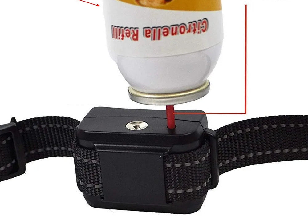Collier de dressage chien- Spray Control