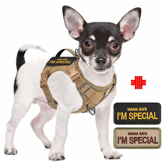 Harnais anti traction chien- EASTONG