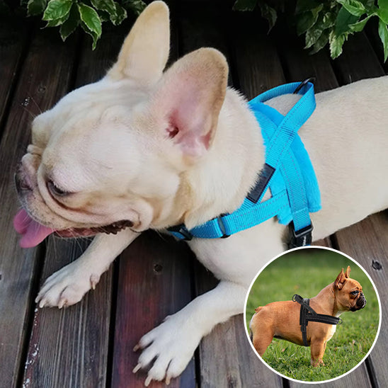 Harnais chien anti traction- No choking