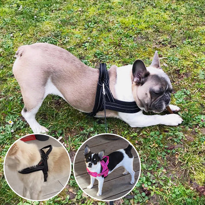 Harnais chien anti traction- No choking