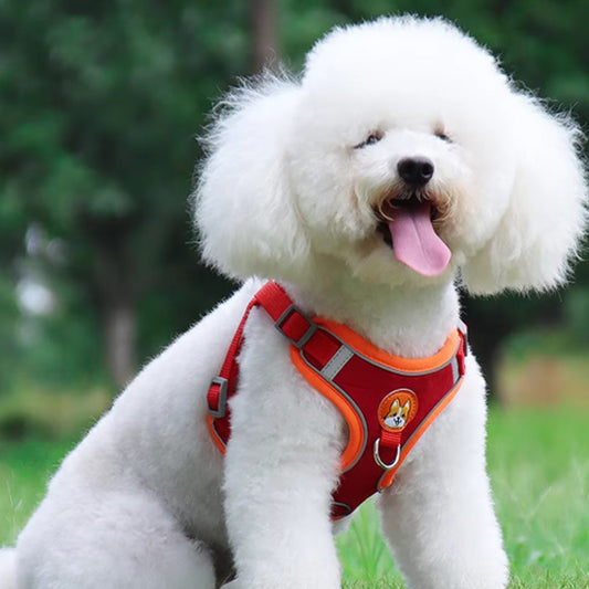 Harnais chien anti traction- VGEBY DOG