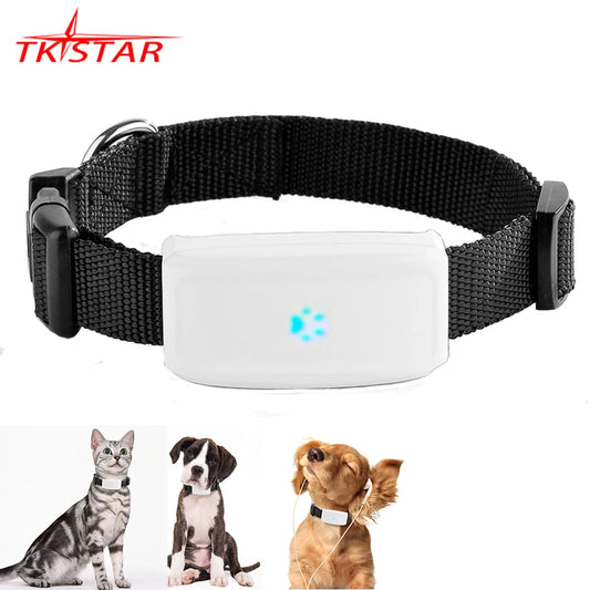 Collier gps pour chien- TKSTAR Mini GPS 2G