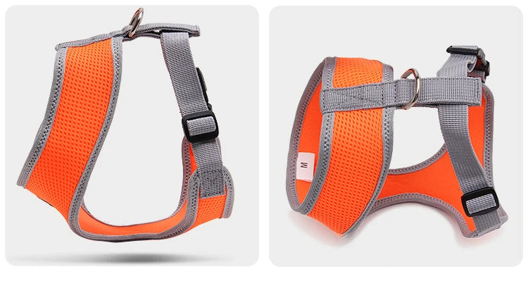 Harnais chien- Truelove Nylon Sandwich