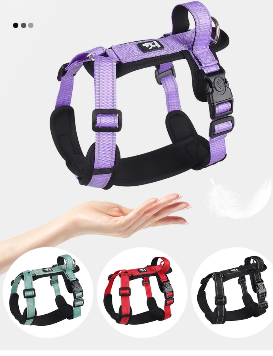 Harnais chien- Anti-Escape Dog
