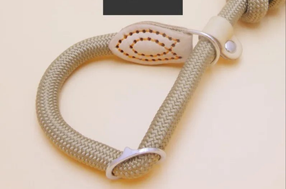 Laisse pour chien- P Chain Dog Leash Slip Collar