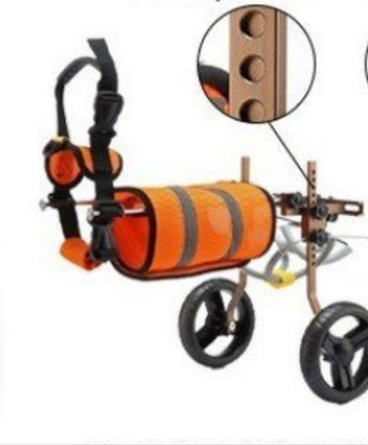 Harnais pour chien- Véhicule d'assistance