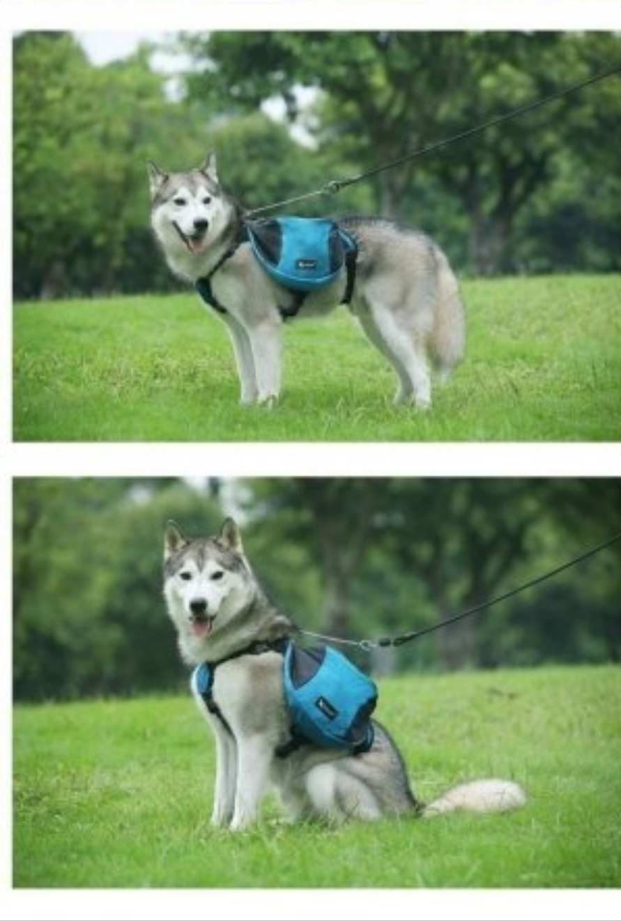 Harnais pour chien - Sac bandes réfléchissantes