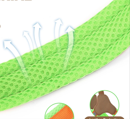 Harnais chien anti traction- Didog Couleur Vive