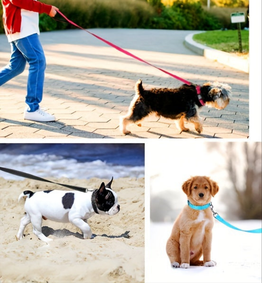 Laisse pour chien- Joytale Reflective Laisse- Harnais