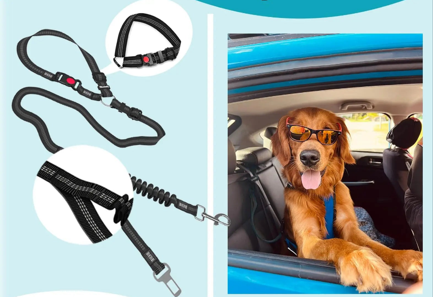 Laisse pour chien- Ceinture de sécurité pour chien GOYN