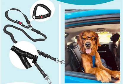 Laisse pour chien- Ceinture de sécurité pour chien GOYN