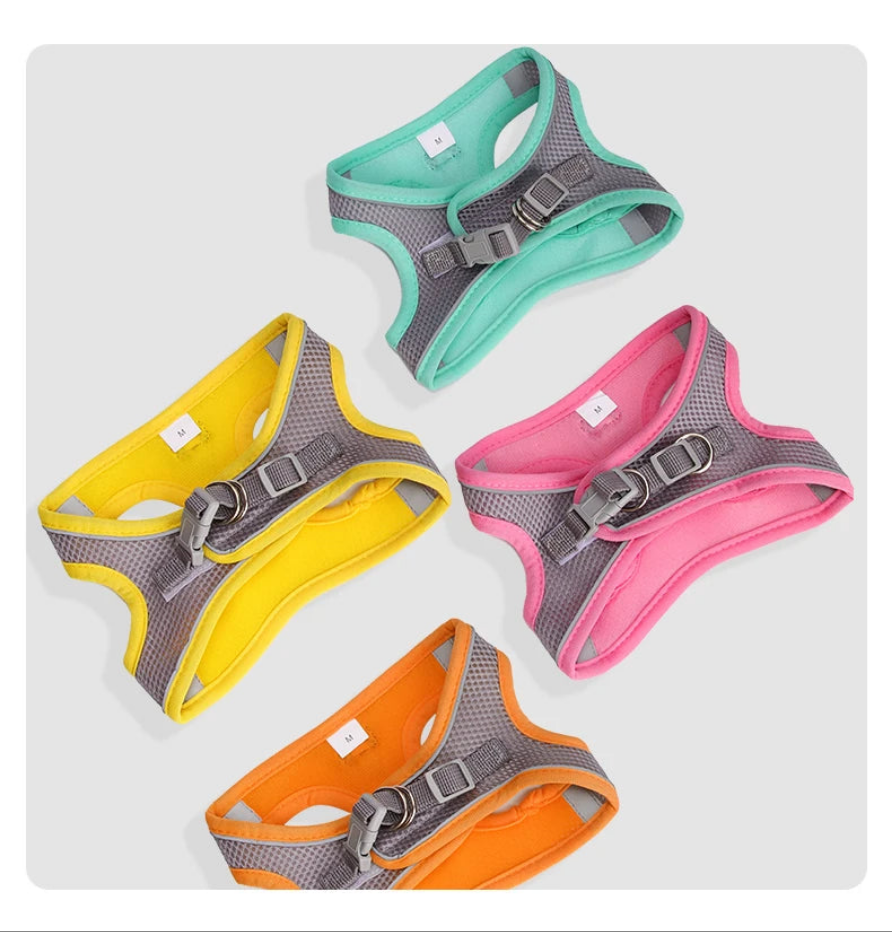 Harnais chien- Le Petit Respirant