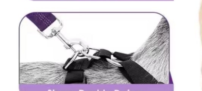 Laisse pour chien- Duo auto Pratico