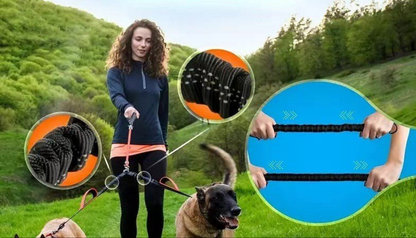 Laisse pour chien- Double rallonge anti-choc