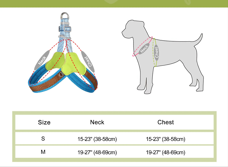 Harnais chien anti traction- Didog Couleur Vive