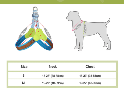 Harnais chien anti traction- Didog Couleur Vive