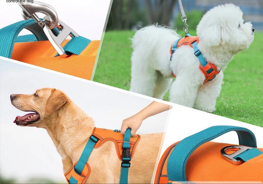 Harnais chien anti traction- Robuste Didog