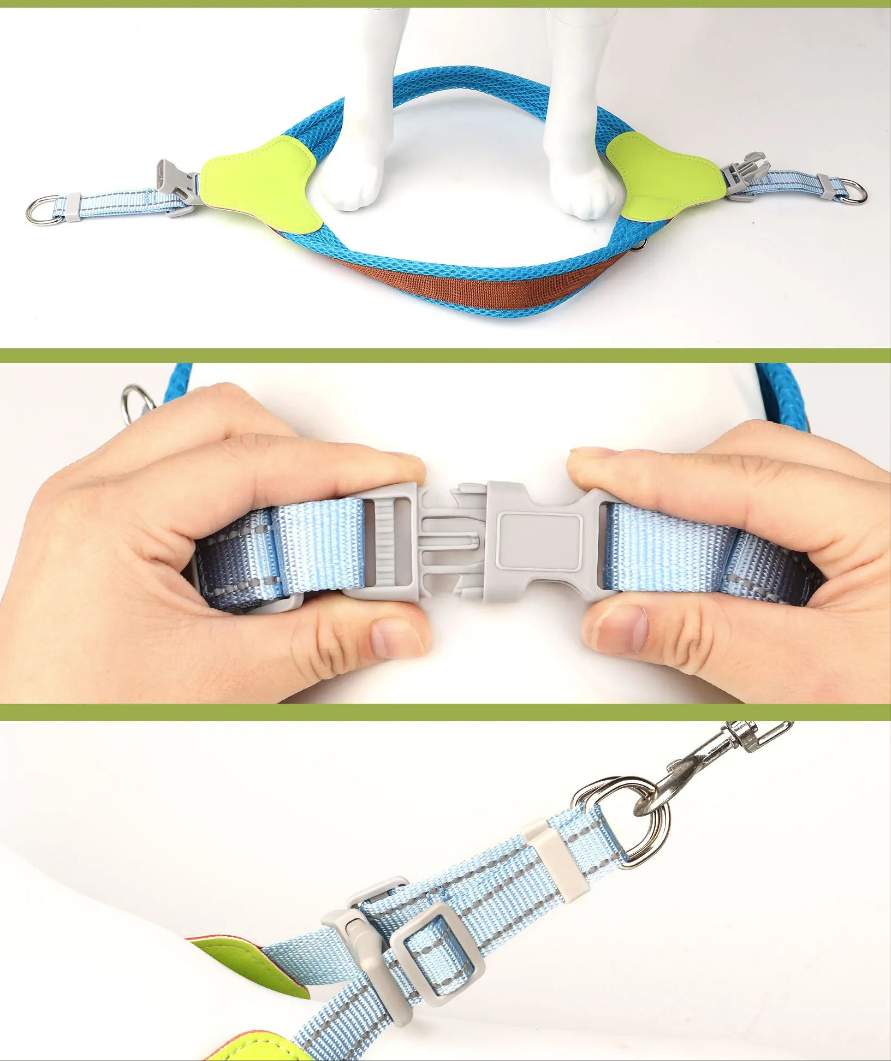 Harnais chien anti traction- Didog Couleur Vive