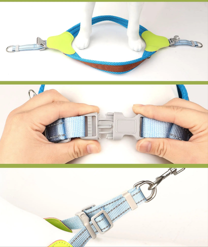 Harnais chien anti traction- Didog Couleur Vive