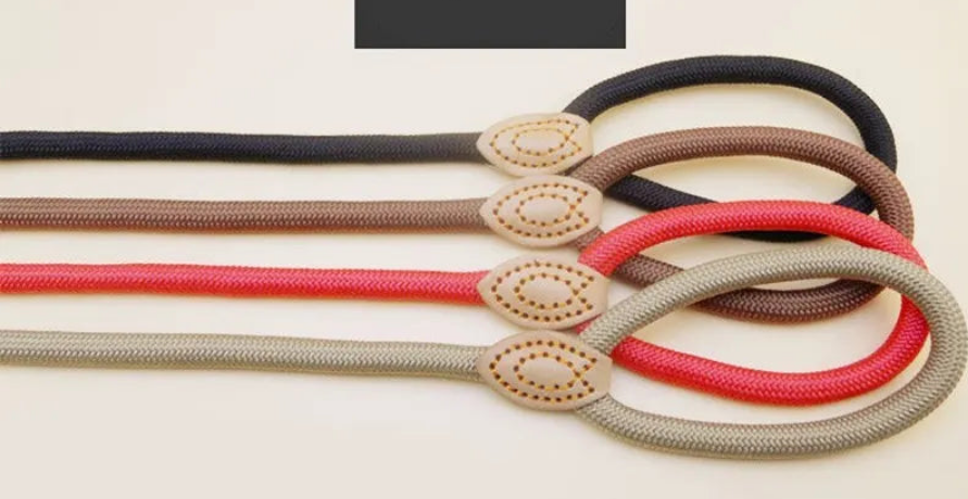 Laisse pour chien- P Chain Dog Leash Slip Collar