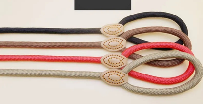 Laisse pour chien- P Chain Dog Leash Slip Collar