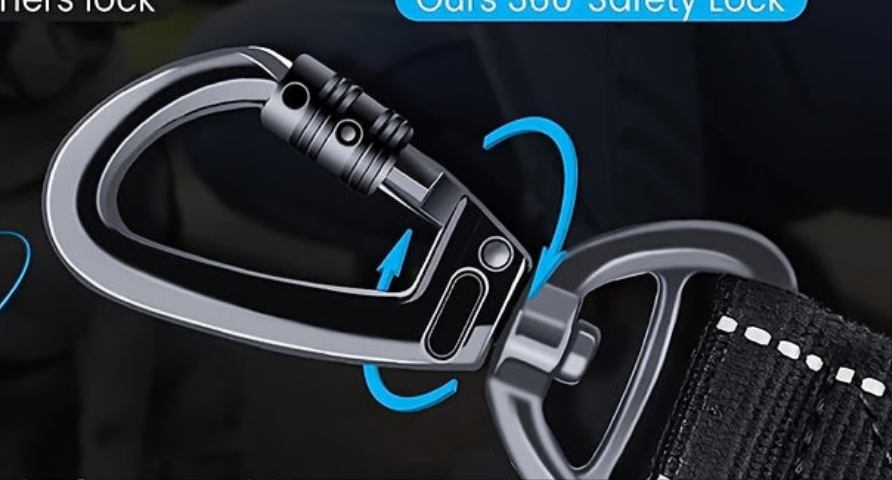 Laisse de chien- Bungee anti traction