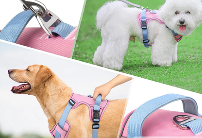 Harnais chien anti traction- Robuste Didog