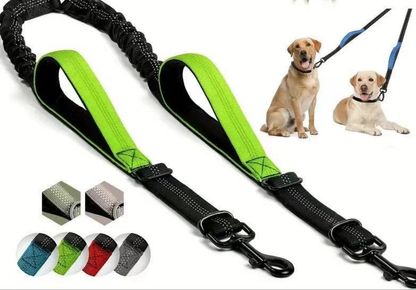 Laisse pour chien- Double rallonge anti-choc