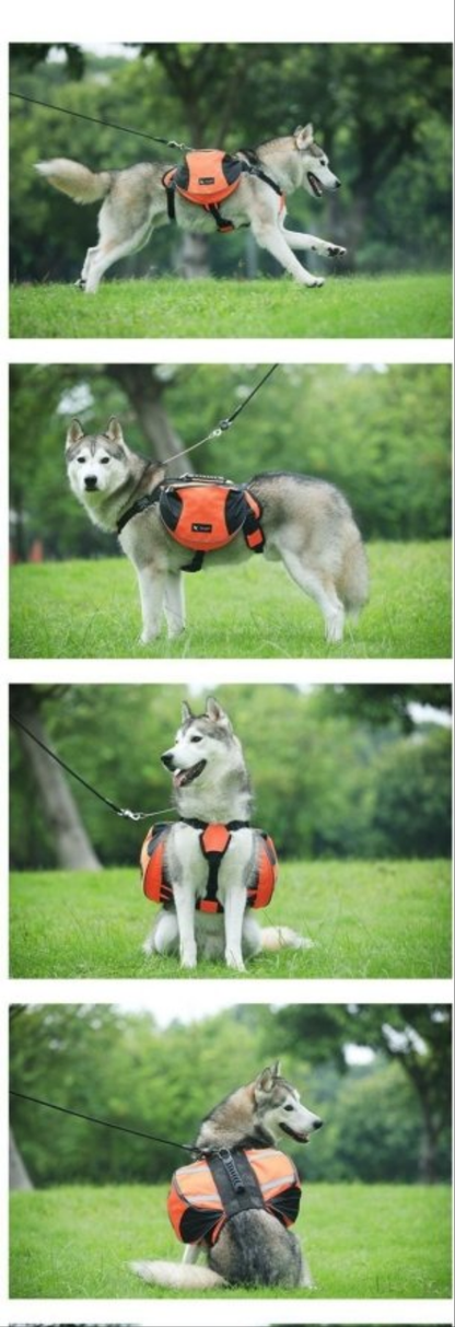 Harnais pour chien - Sac bandes réfléchissantes