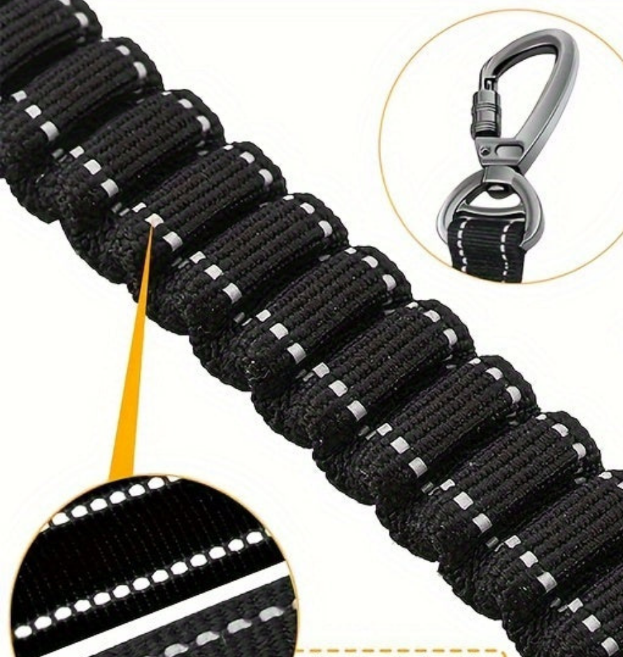 Laisse de chien- Bungee anti traction