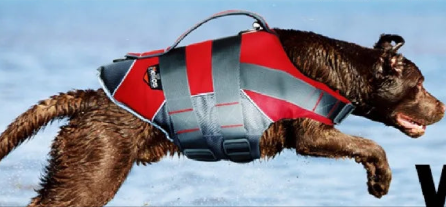 Gilet sauvetage chien-JANPET Dog Life Jacket