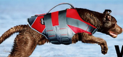 Gilet sauvetage chien-JANPET Dog Life Jacket