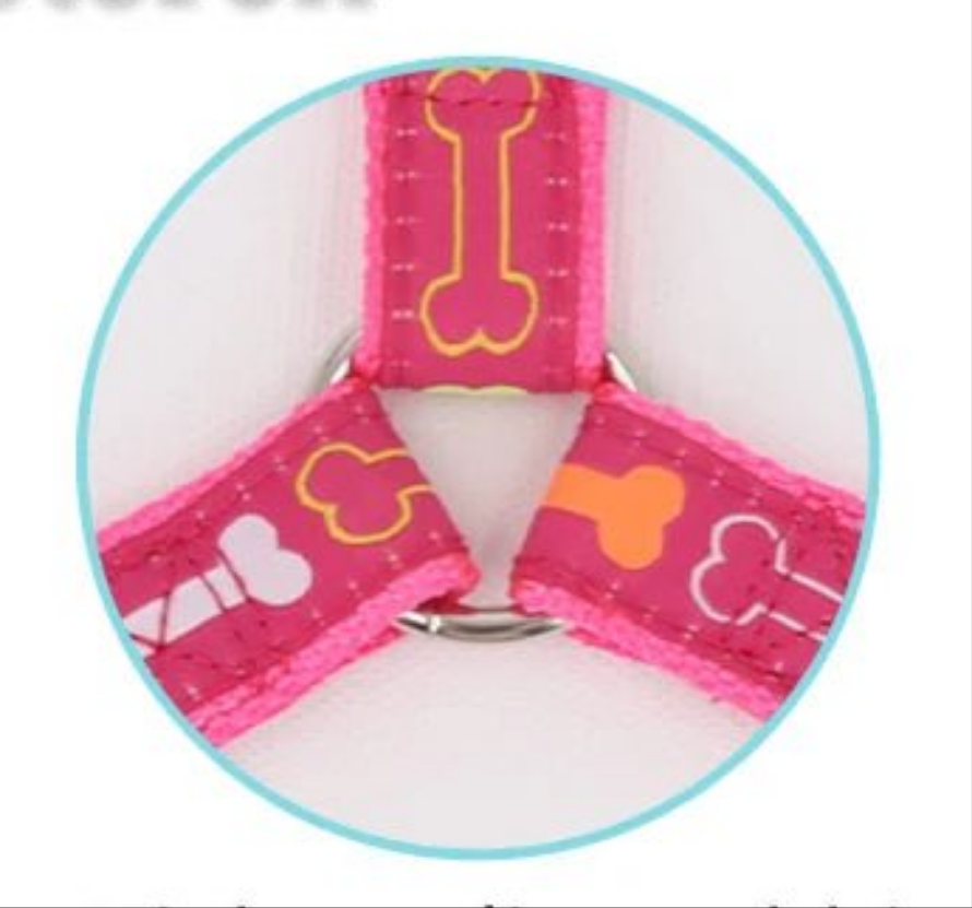 Harnais chien- Colorful bone tripod