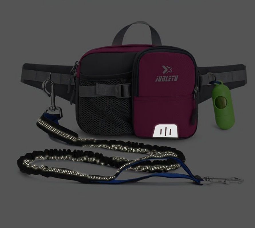 Laisse pour chien- Pochette Multi Fonction anti traction