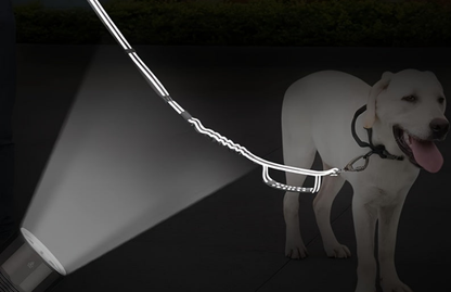 Laisse de chien- Bungee anti traction