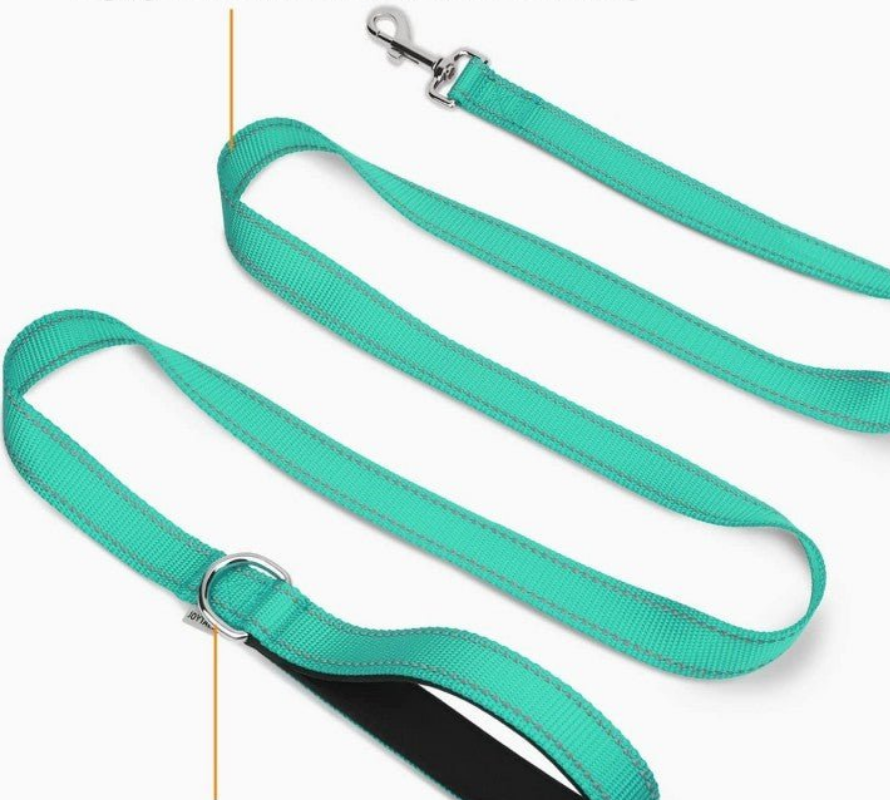 Laisse pour chien réfléchissante classique