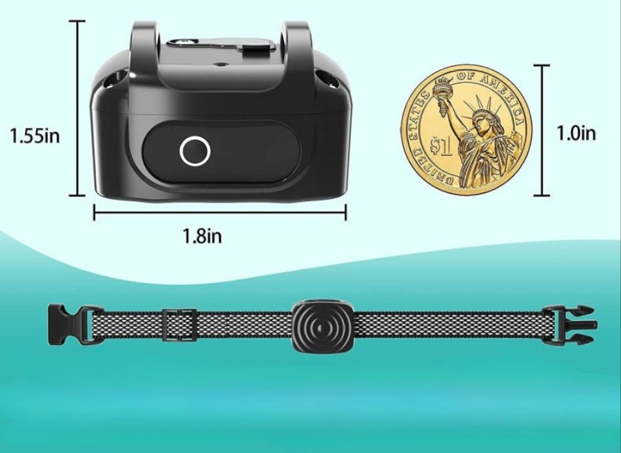 Collier de dressage pour chien - Arrêt intelligent des aboiements