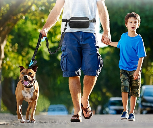 Laisses mains libres pour chiens - Laisse pour chien Jogging Plus