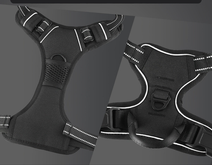 Laisse pour chien- MiTOOE kit 3 pcs