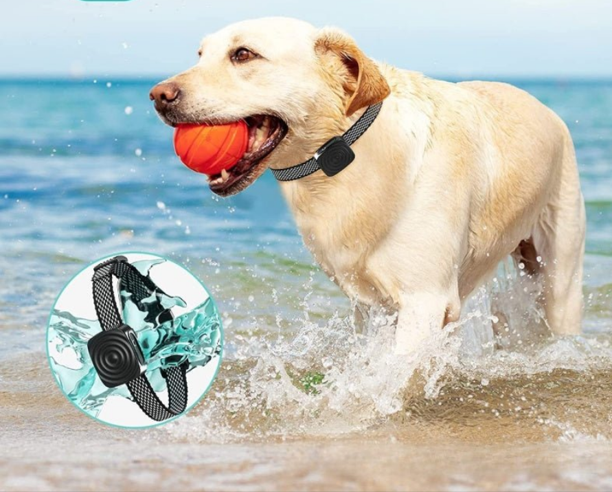 Collier de dressage pour chien - Arrêt intelligent des aboiements